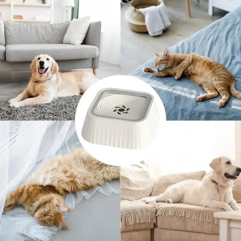 Fuente de agua para mascotas, antiderrames, bebedero lento para perros, filtro, boca no húmeda, extraíble, suministros para mascotas