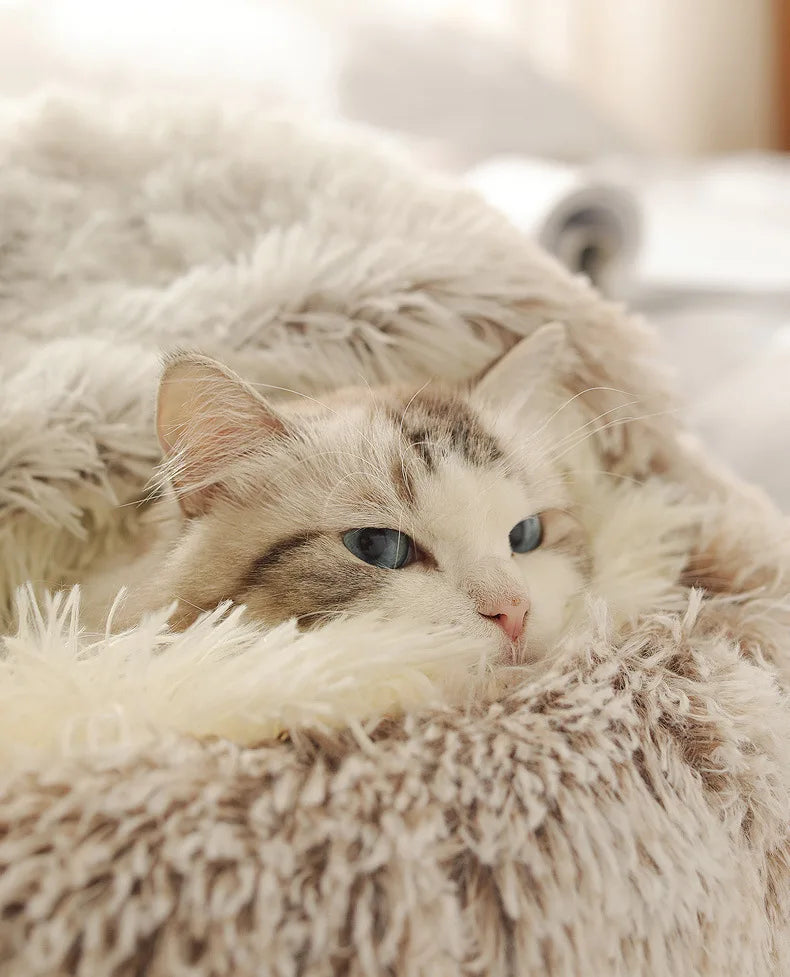 Cama para mascotas de felpa suave de otoño e invierno y cama para mascotas Nido de edredón de felpa cálido y frío de invierno Nido de gato de concha Nido de gato semicerrado